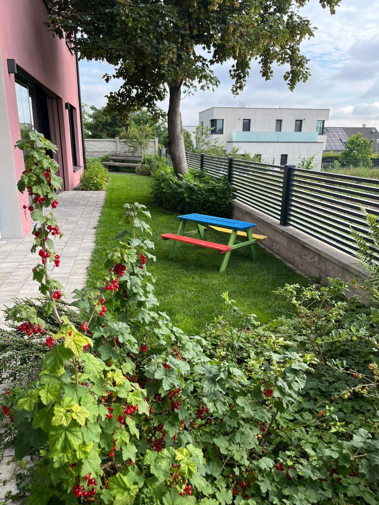 Villa Rose Close To Vienna & Airport Maria Ellend Dış mekan fotoğraf