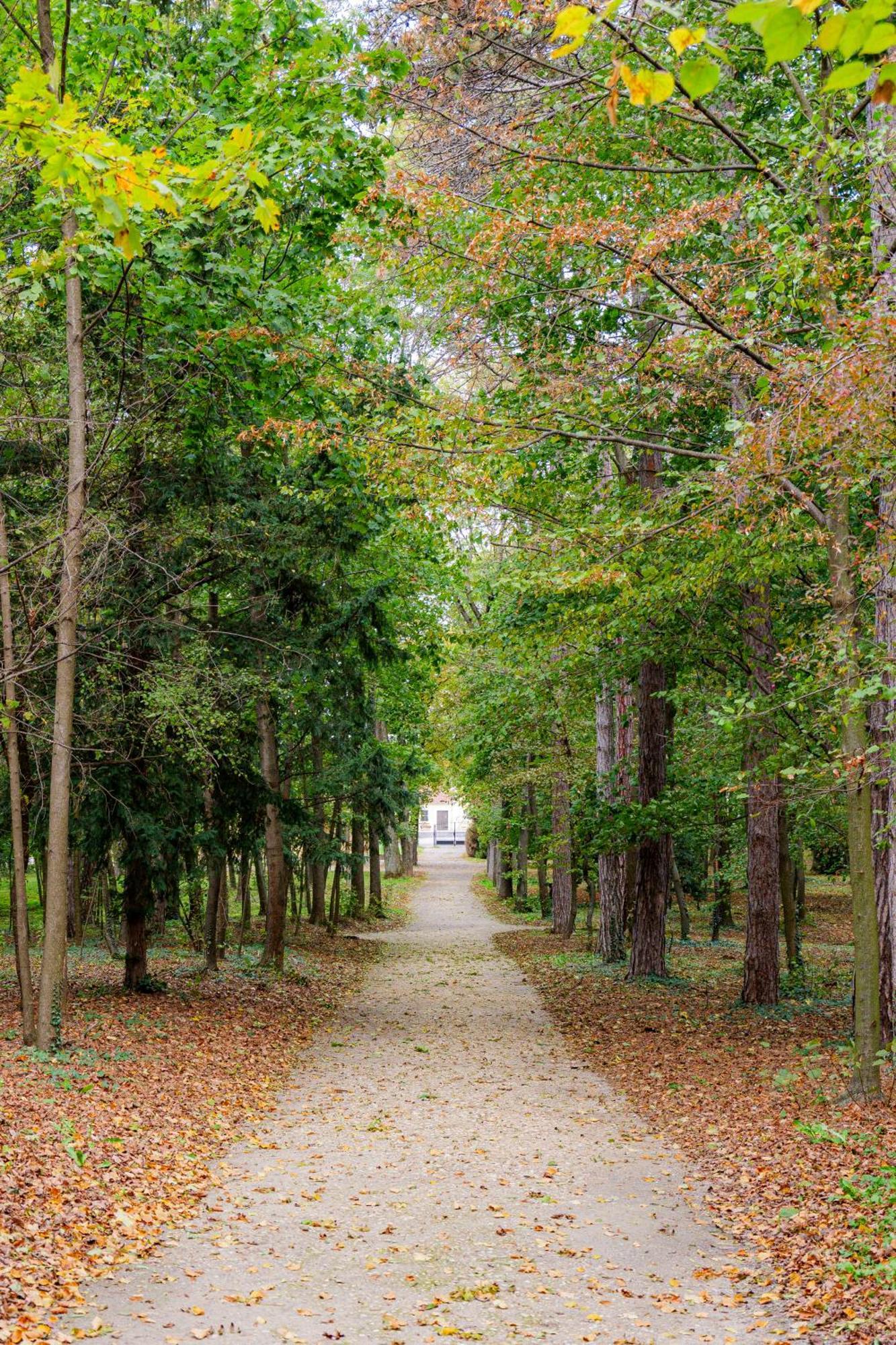 Villa Rose Close To Vienna & Airport Maria Ellend Dış mekan fotoğraf